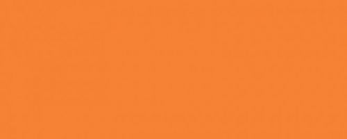 Плитка Городские цветы оранжевый 20x50