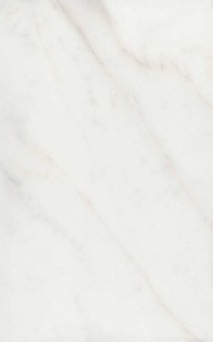 Гран Пале белый глянцевый 25x40x0,8